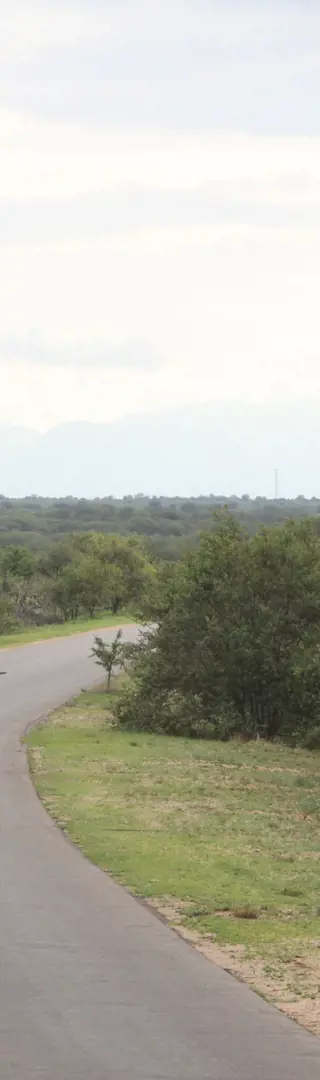 Weiter in den Kruger-Nationalpark